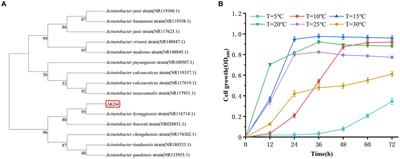 Nitrogen removal capability and mechanism of a novel low-temperature-tolerant simultaneous nitrification-denitrification bacterium Acinetobacter kyonggiensis AKD4